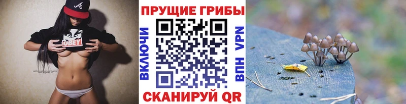 где найти ОМГ ОМГ как зайти Псилоцибиновые грибы Psilocybe Нязепетровск